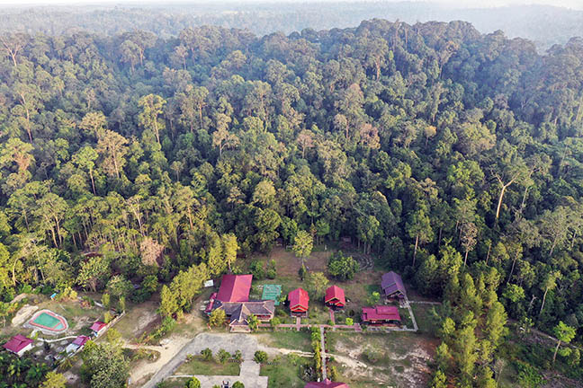 Hutan hujan tropis di Kutai Kertanegara, Kalimantan Timur.