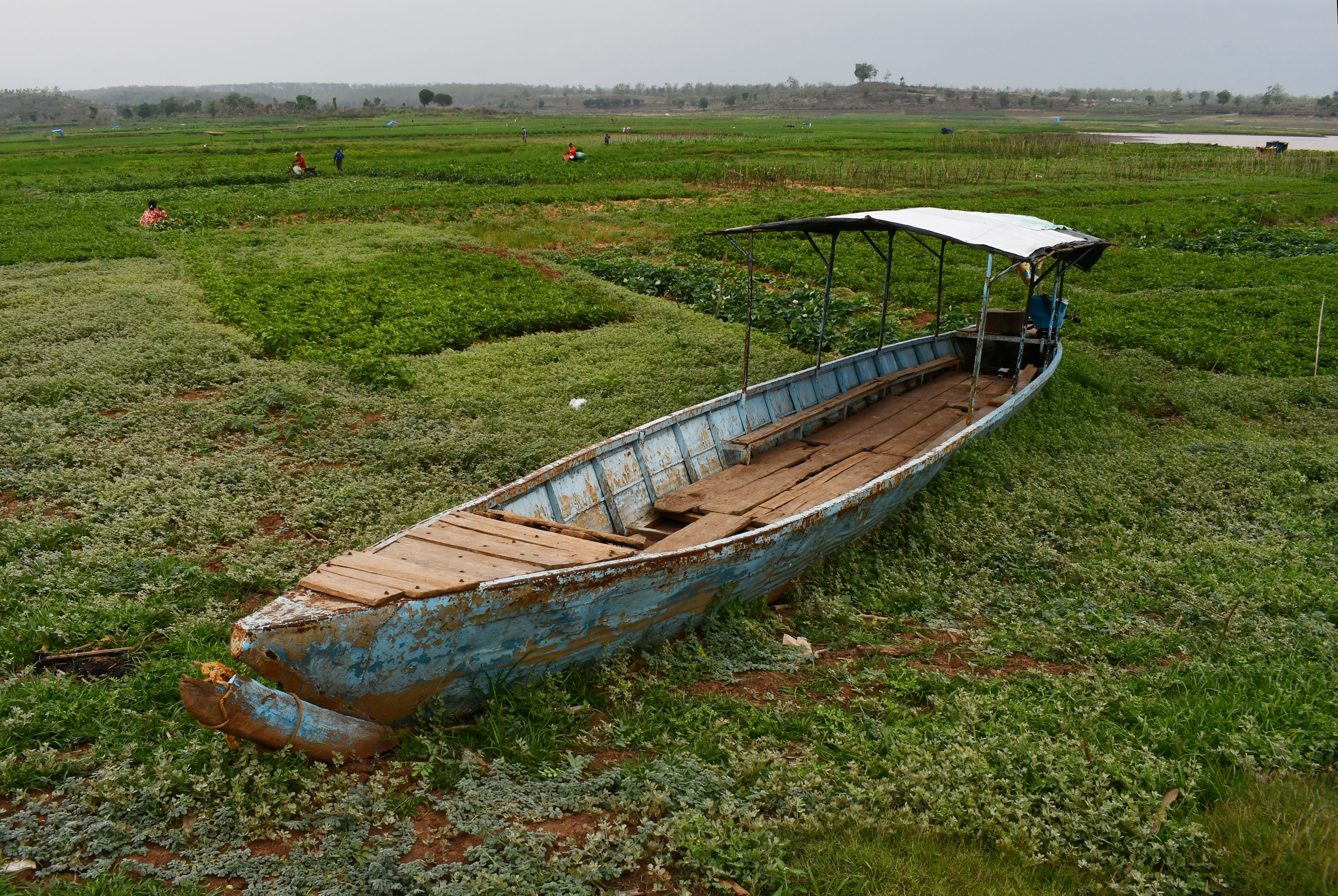 Waduk Dawuhan Kabupaten Madiun, Jawa Timur, mengering.
