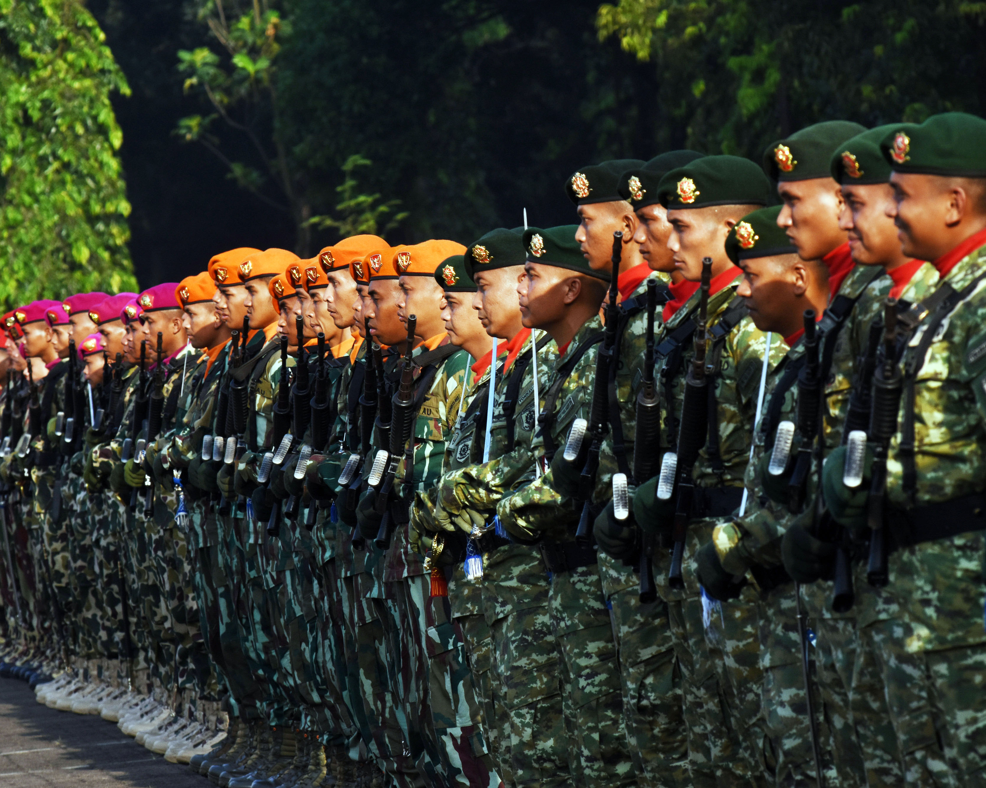 Ilustrasi prajurit TNI