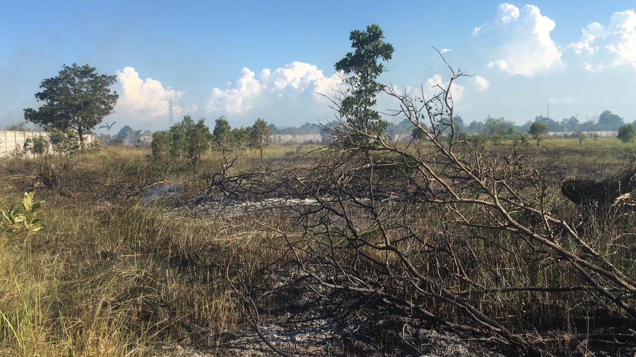  Petugas melakukan pemadaman karhutla di sejumlah titik di Kabupaten Bangka Tengah pada 2021.