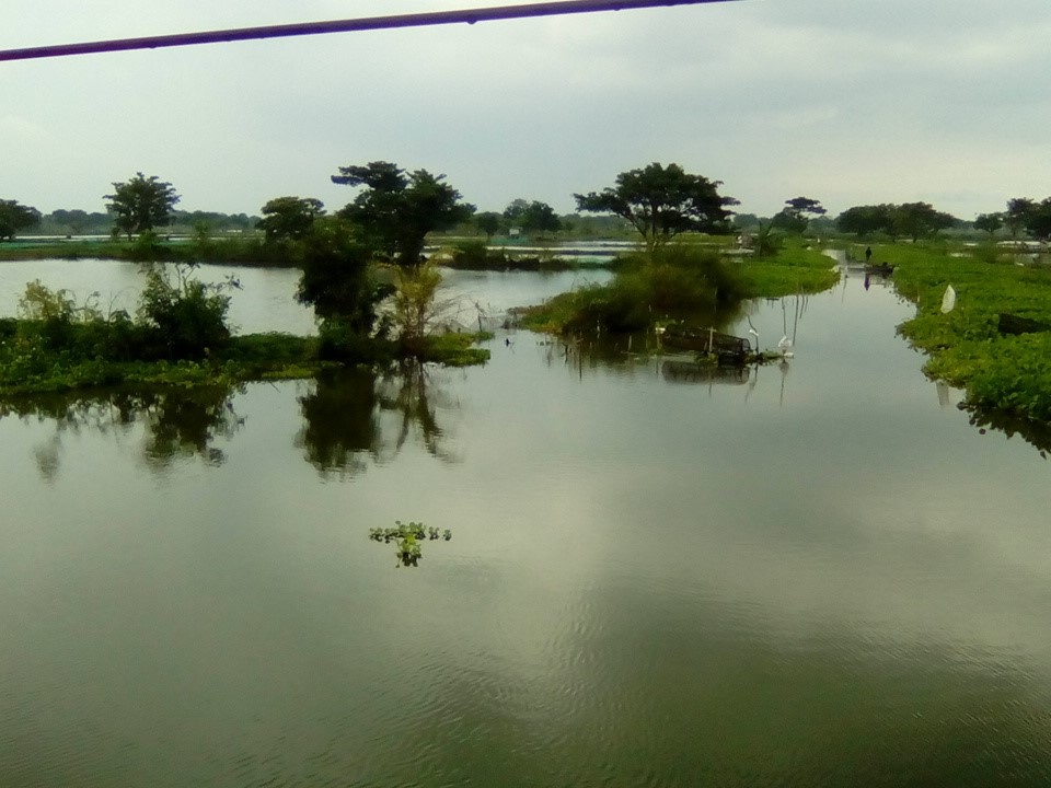 Banjir luapan Bengawan Jero di Kabupaten Lamongan, Jatim, beberapa waktu lalu.