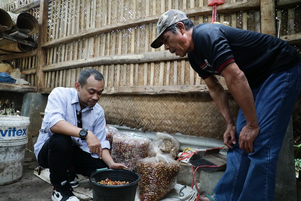 GMP memberikan bantuan alat pertanian dan bibit kopi ke petani  Kopi di Manglayang, Kabupaten Bandung