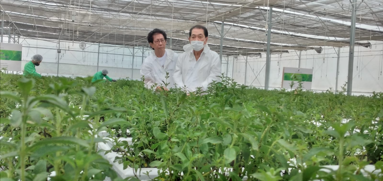 Direktur Sido Muncul Irwan Hidayat dan  Komisaris Johan Hidayat di Green House Rempah Sido Muncul