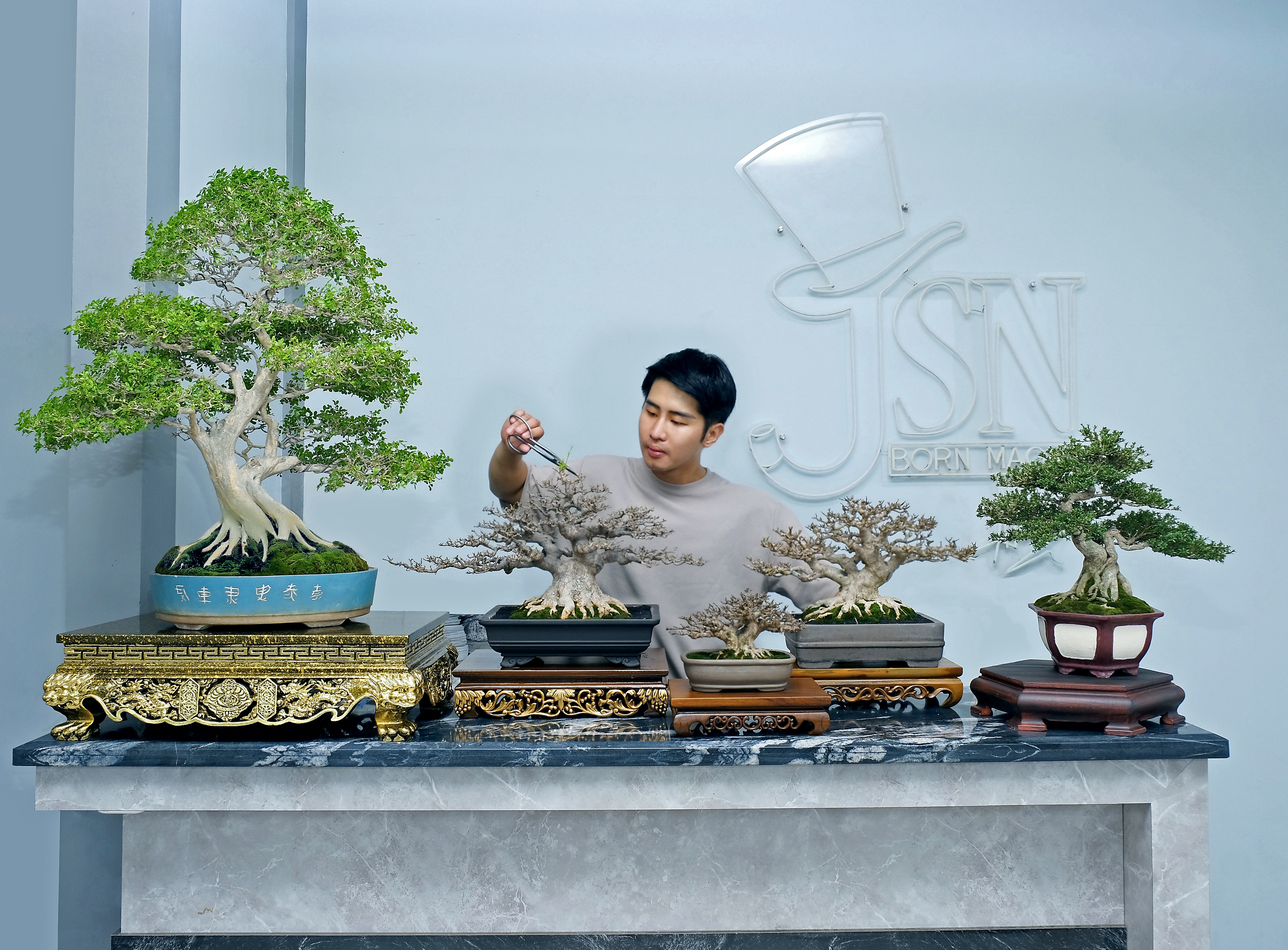 Jusin Clasic dan koleksi pohon bonsainya. 