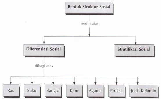 Struktur sosial