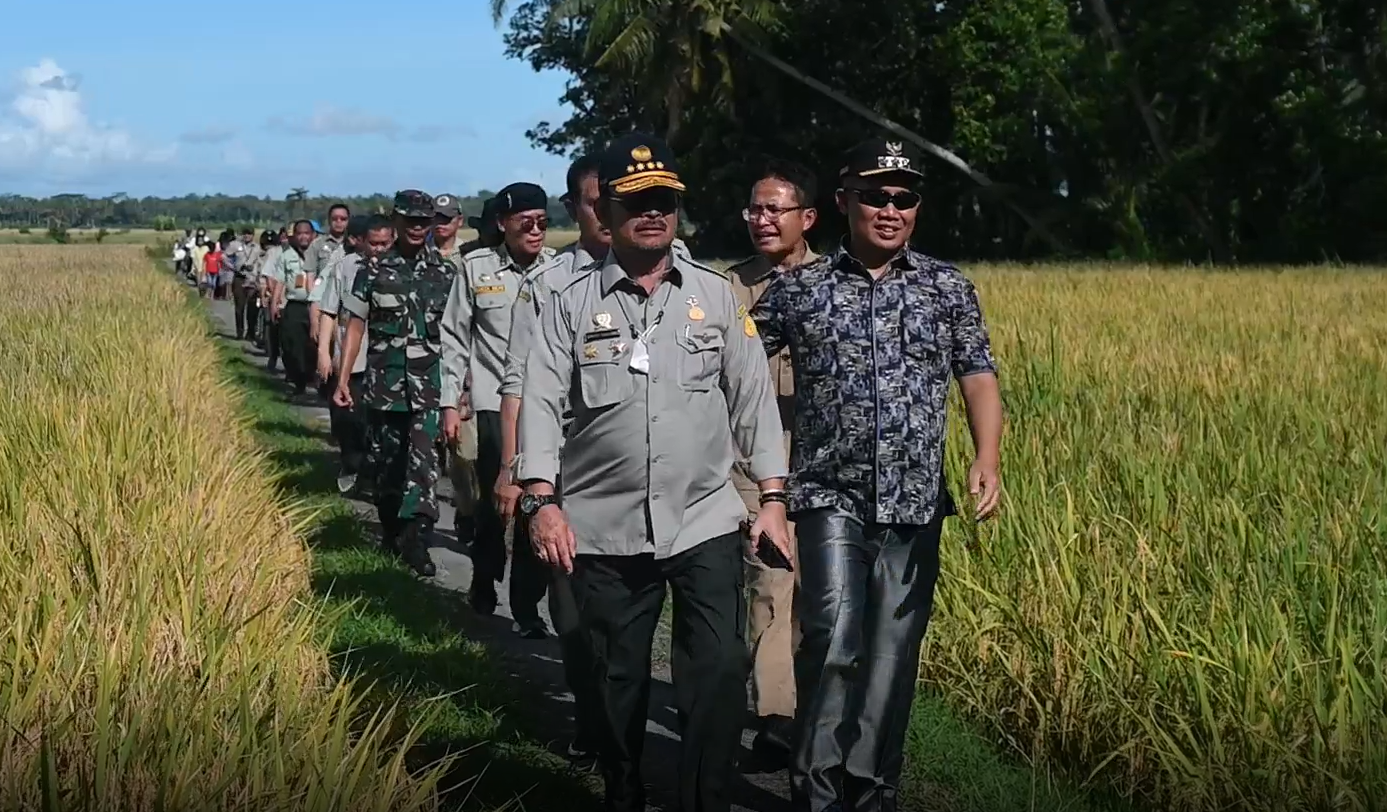Mentan Syahrul Yasin Limpo  meninjau lahan tanaman padi di Desa Lajer, Kecamatan Kutowinangun, Kabupaten Kebumen Jawa Tengah