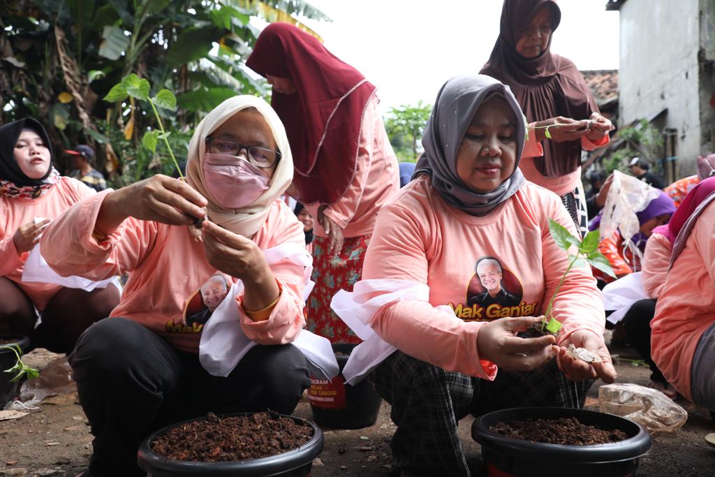 Relawan Mak Ganjar menanam cabai di Tanah Abang, Jakarta Pusat