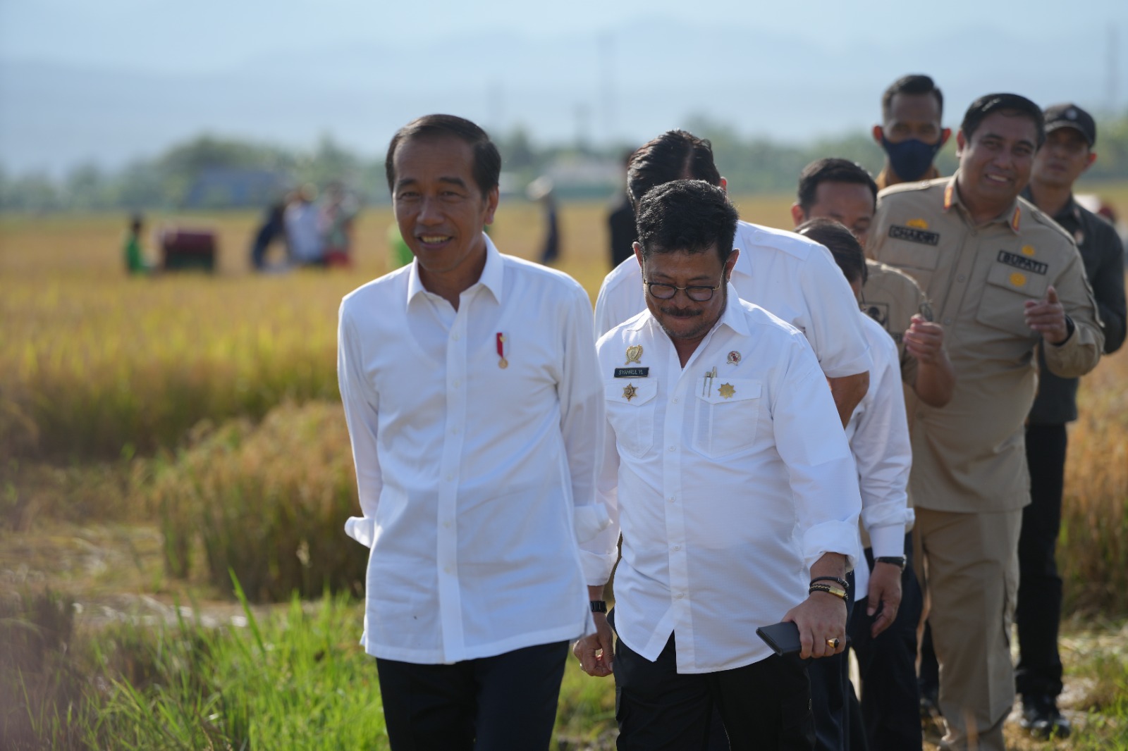 Presiden Joko Widodo saat panen raya di Maros, Sulawesi Selatan