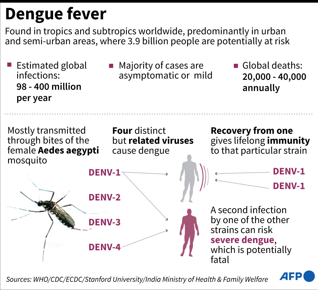 Fakta tentang virus Demam Berdarah Dengue yang diperkirakan menginfeksi hingga 400 juta orang per tahun di sejumlah negara.