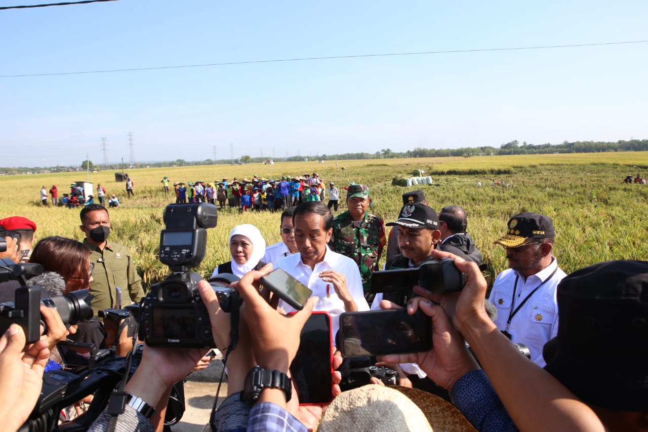 Presiden Jokowi didampingi Menteri Pertanian Syahrul Yasin Limpo melakukan panen raya padi di Kabupaten Ngawi, Jawa Timur.