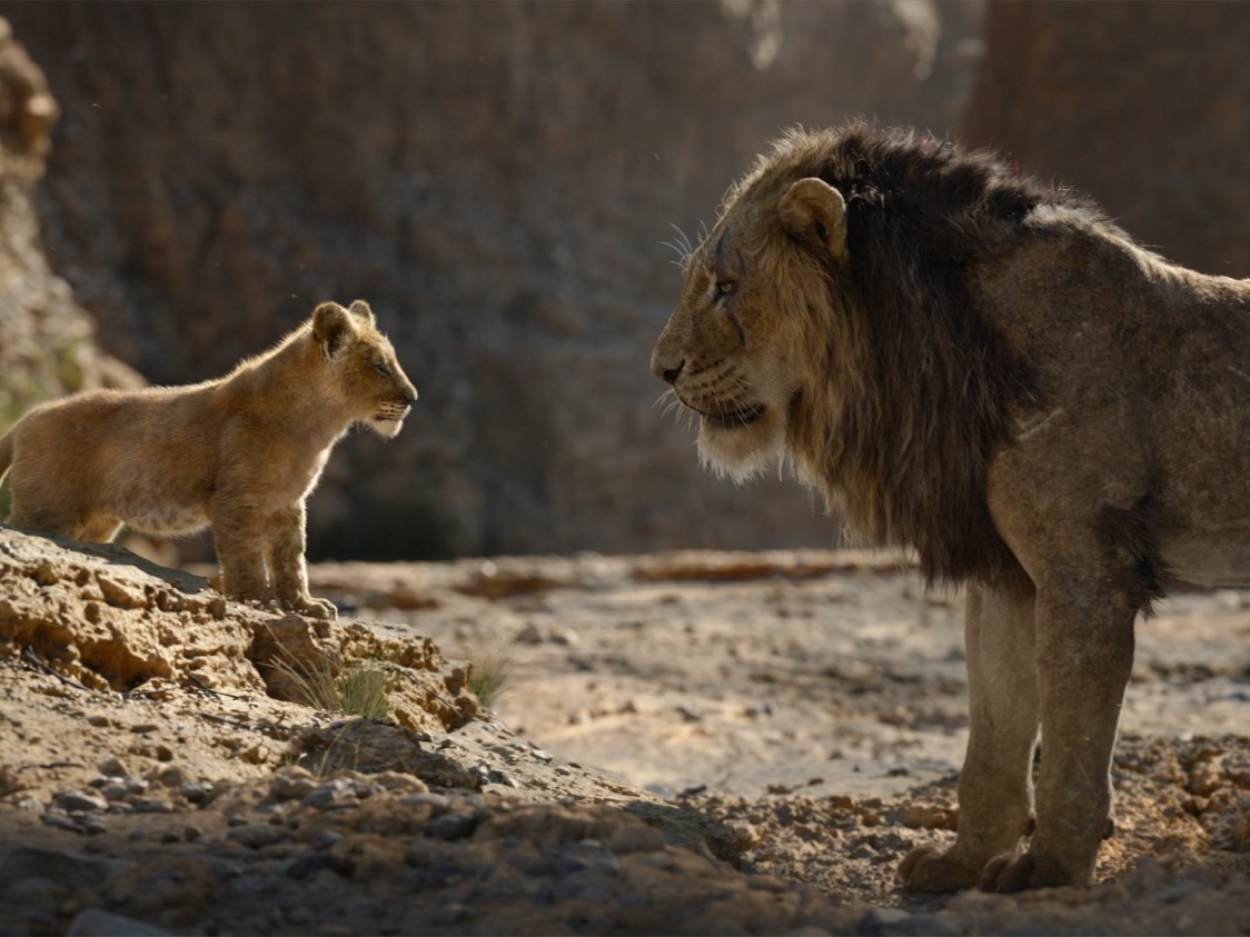Cuplikan film The Lion King.