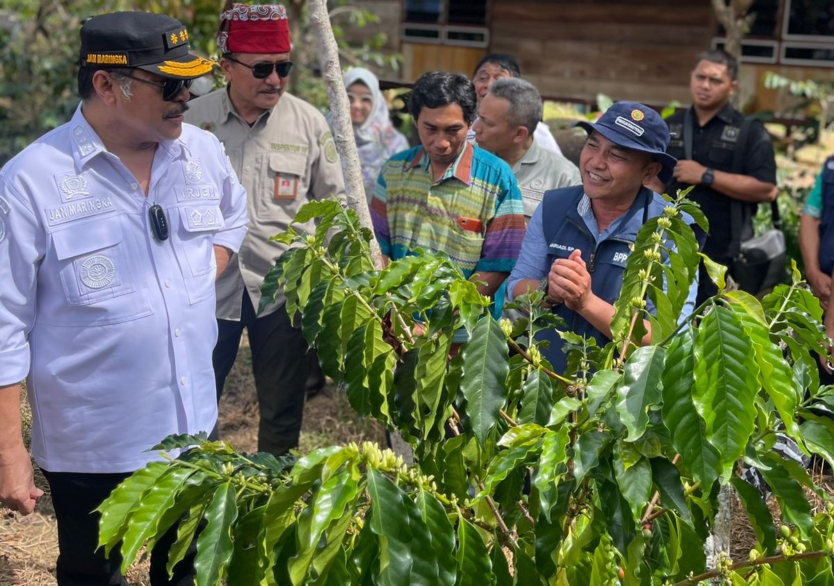 Inspektur Jenderal Kementerian Pertanian (Irjen Kementan) Jan Samuel Maringka meninjau pengembangan kopi Tana Toraja