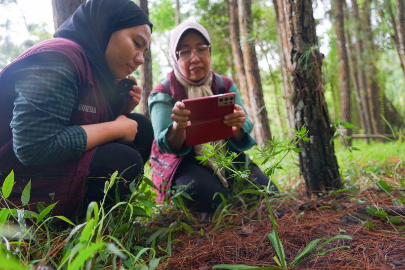 Wakil Rektor Unas Bidang PPMK Prof Dr Ernawati Sinaga MS Apt (kanan) melakukan pengamatan dan scanning untuk mengenal jenis tumbuhan.