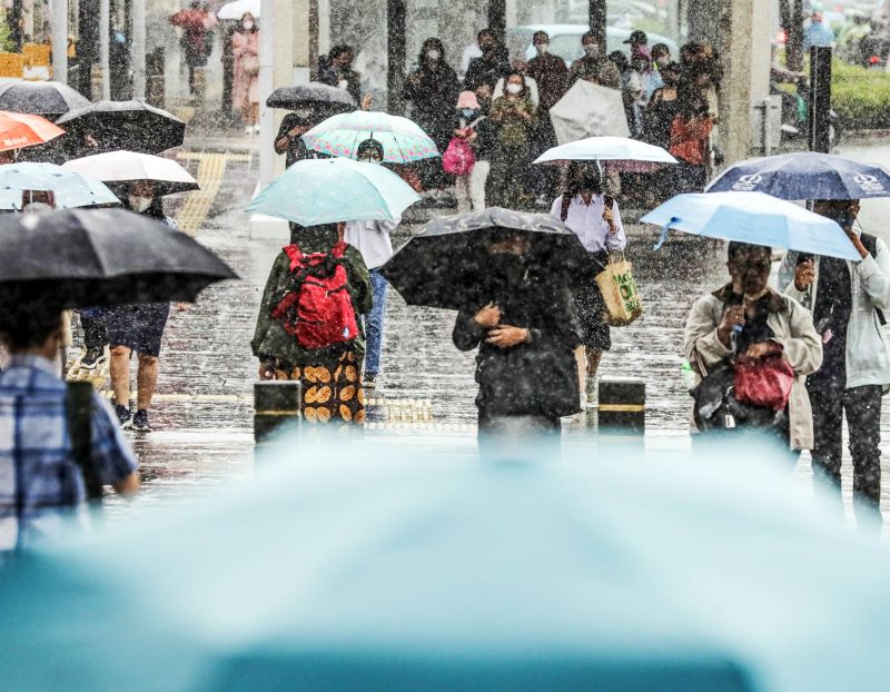 Para pekerja memakai payung menuju kantor mereka saat hujan deras mengguyur kawasan Sudirman.