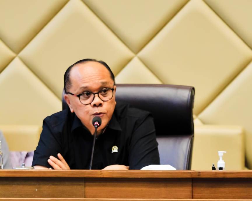 Wakil Ketua Komisi II DPR RI Junimart Girsang.