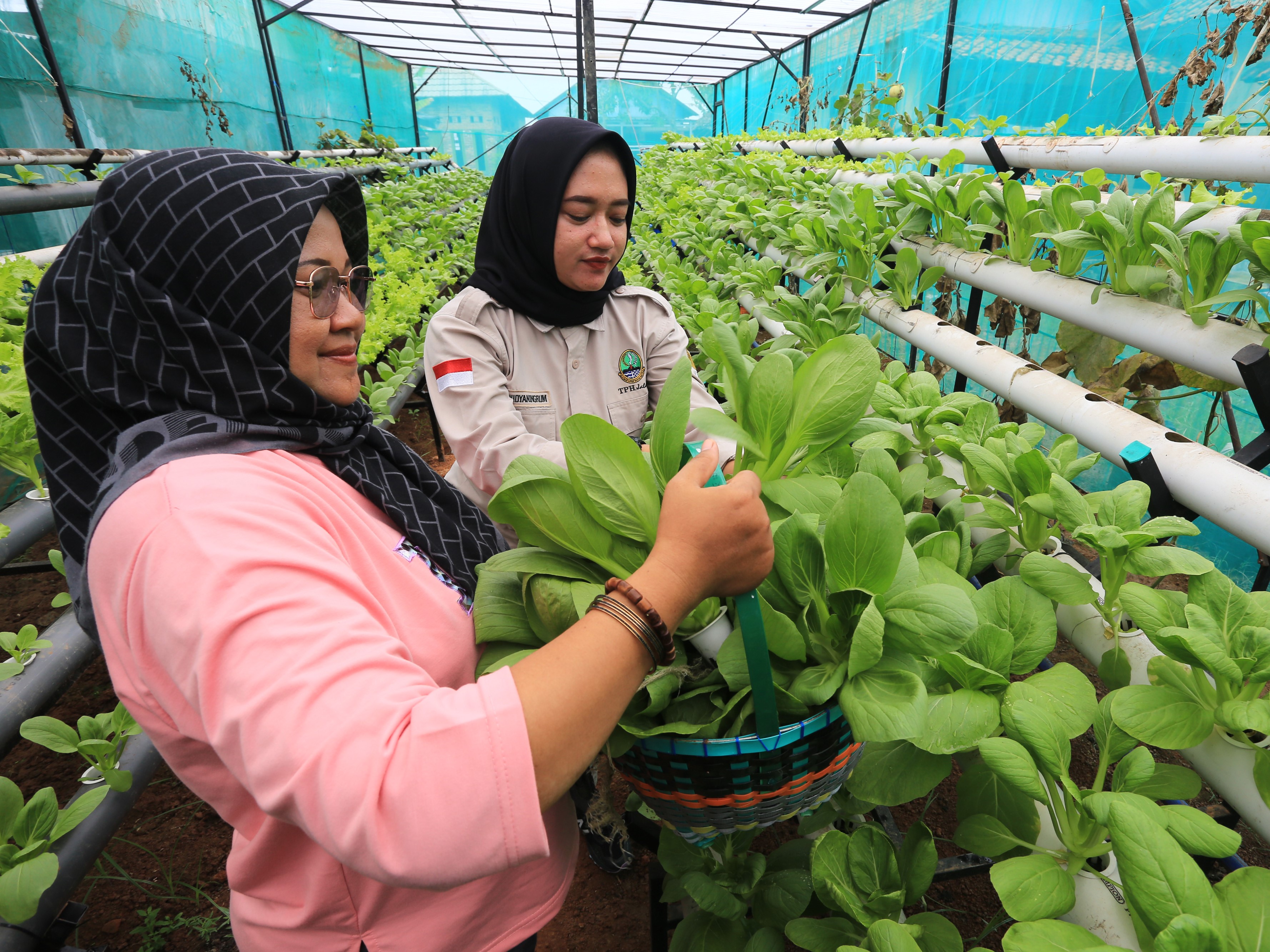 Konsistensi Pemberdayaan Perempuan Penting untuk Mengakselerasi Proses Pembangunan
