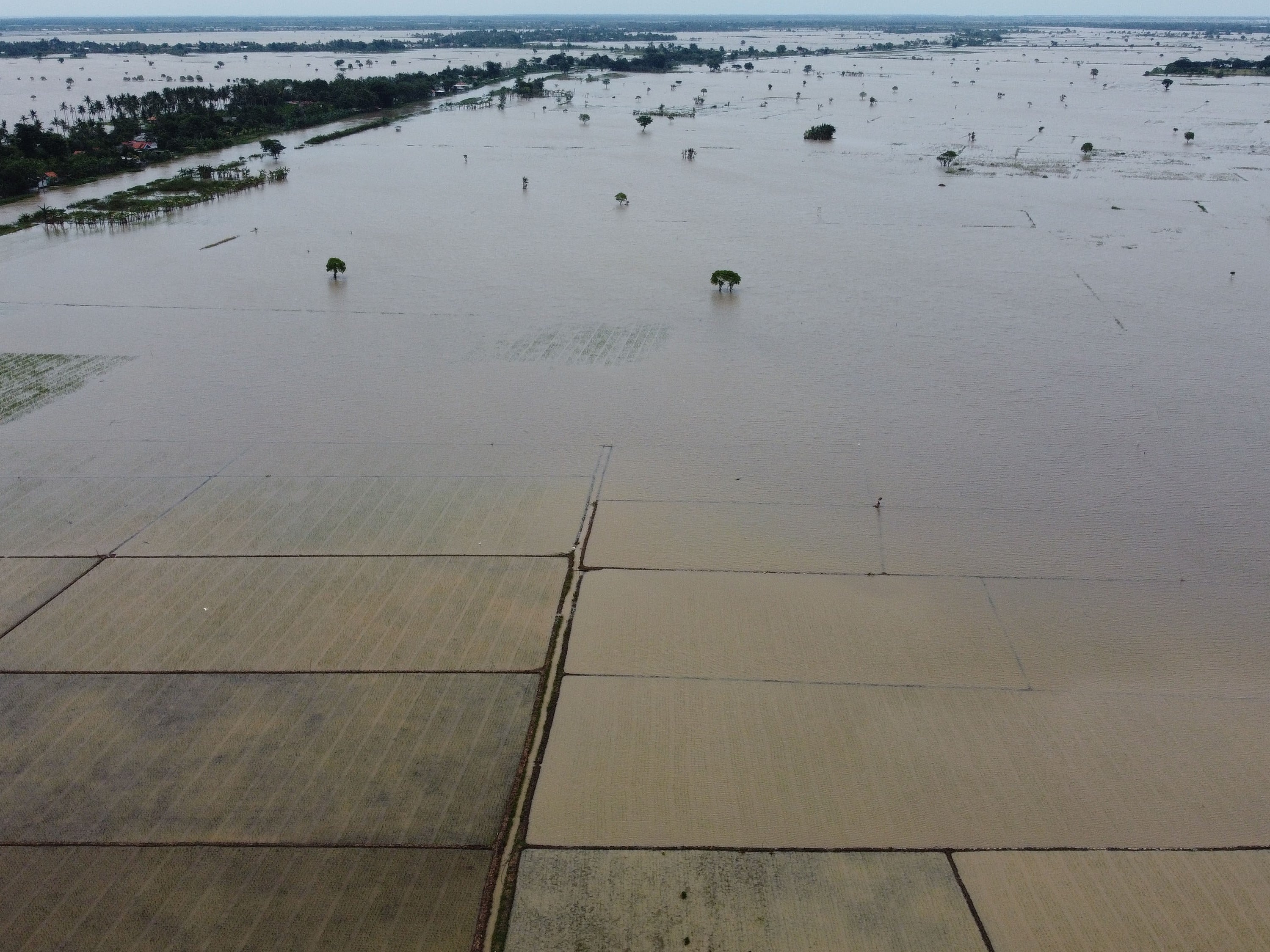 Foto udara sawah yang terendam banjir di Desa Sukaringin, Kabupaten Bekasi, Jawa Barat, Sabtu (4/3/2023).