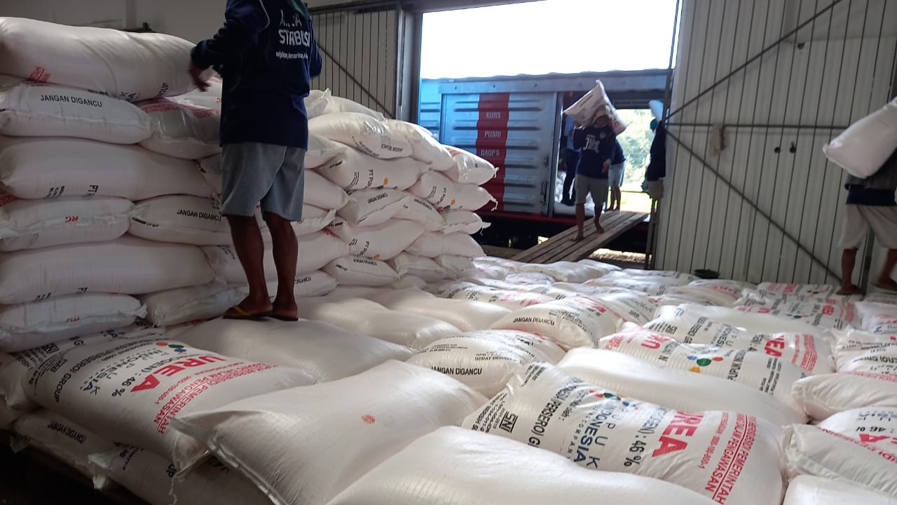 Aktivitas bongkar muat pupuk Pusri Palembang di gudang pupuk Brebes, Jawa Tengah.