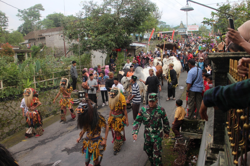  Desa Sruni, Kecamatan Musuk, Kabupaten Boyolali, Jawa Tengah, menggelar Bakdan Sapi