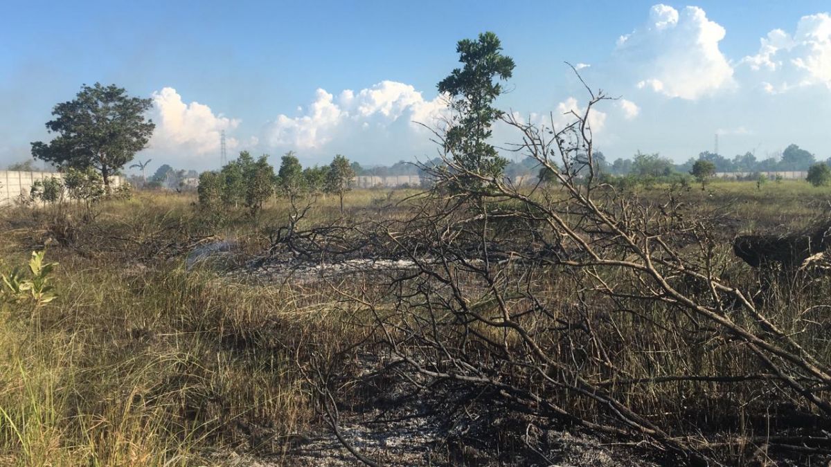 Petugas melakukan pemadaman karhutla di sejumlah titik di Kabupaten Bangka Tengah pada 2021