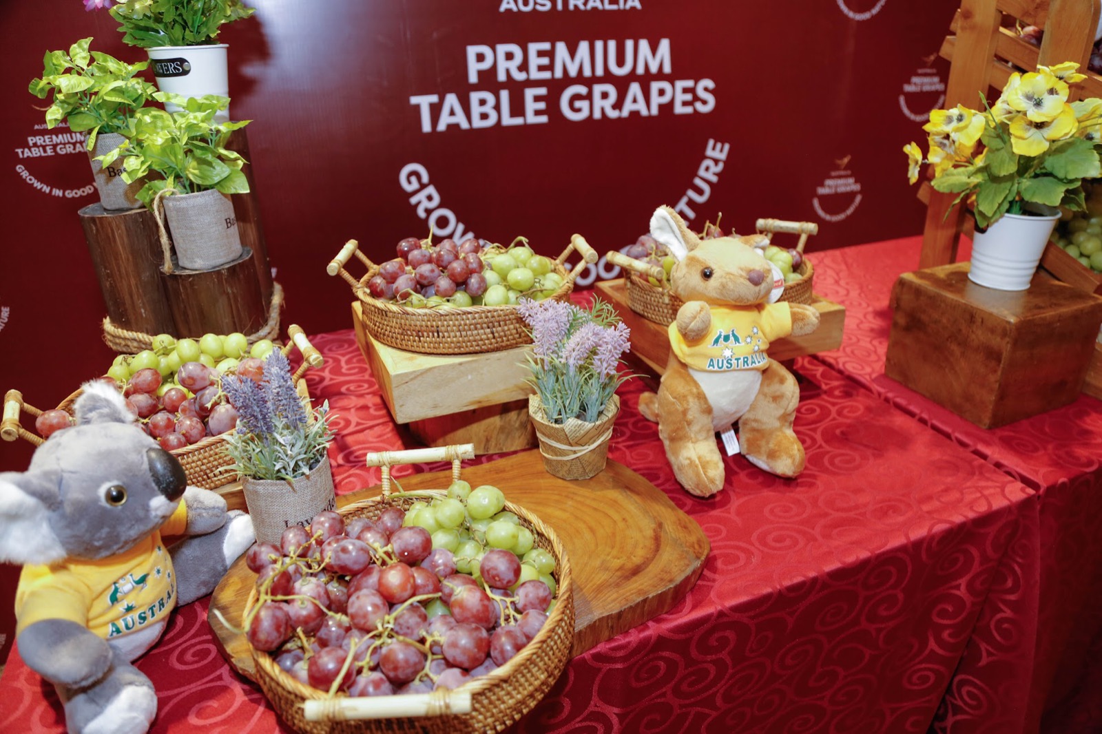 Anggur Premium Australia Kini Bisa Dicicipi di Indonesia