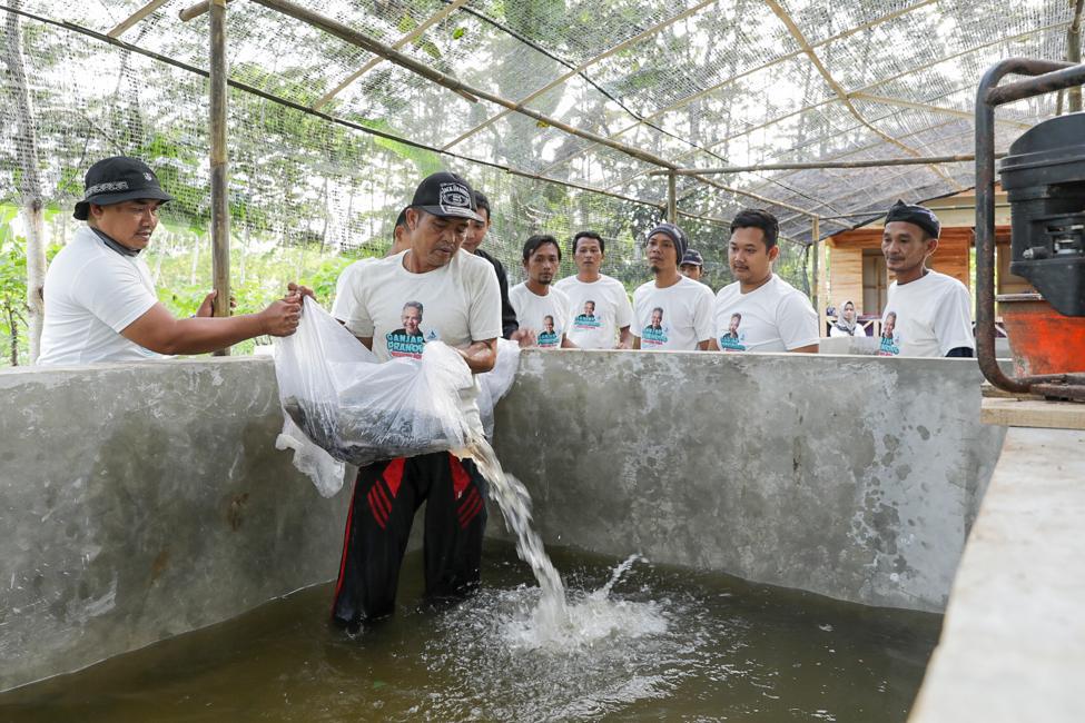 Komunitas nelayan Pesisir memberikan bantuan bibit ikan lele ke pembudidaya di Cianjur