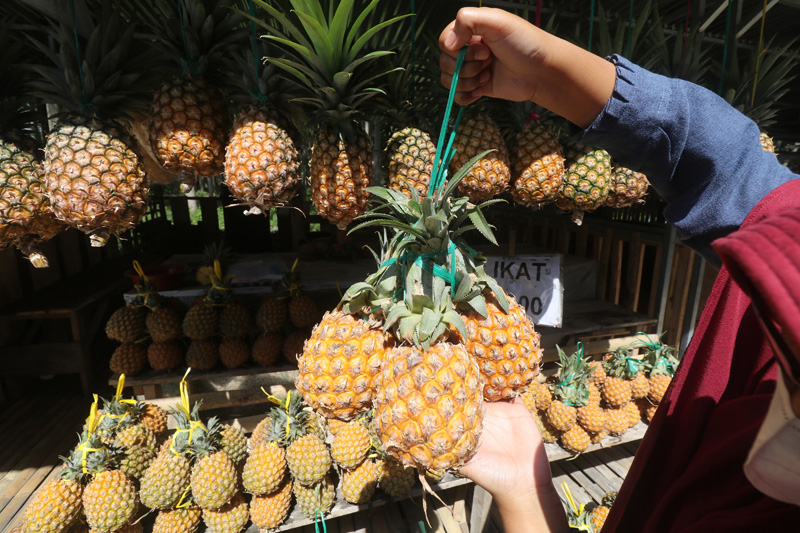 Nanas tidak hanya lezat, juga memiliki banyak manfaatnya. Simak kandungan nutriisi dan manfaat dari nanas.