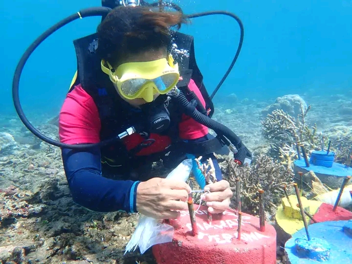 Kelompok pecinta alam menanam bibit terumbu karang di pantai Larantuka.