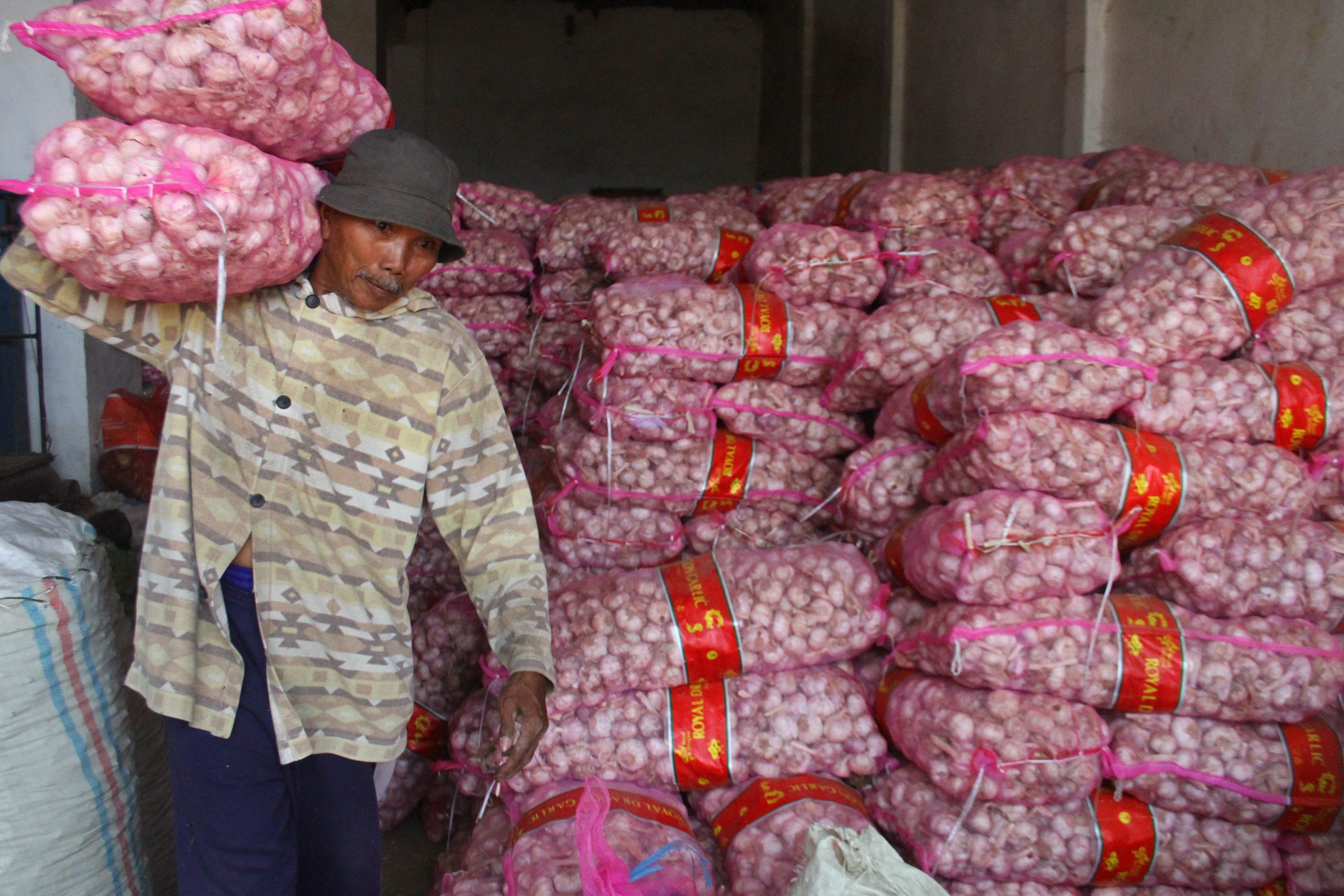 Buruh mengangkat pasokan bawang putih impor di gudang Pasar Induk Gadang, Malang, Jawa Timur.