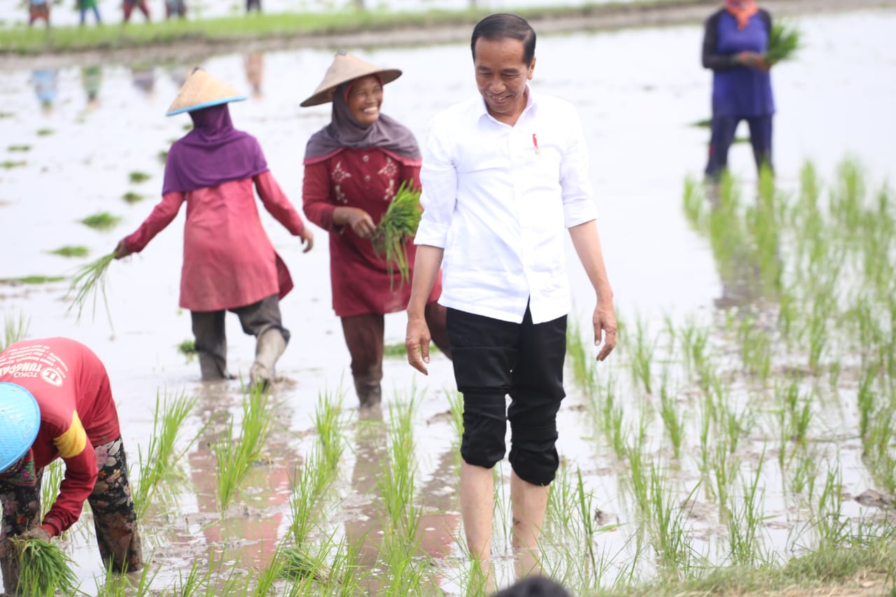 Presiden Jokowi didampingi Mentan Syahrul Yasin Limpomelakukan tanam padi di Desa Senori, Kecamatan Merakurak, Tuban, Jatim, Kamis (6/4).