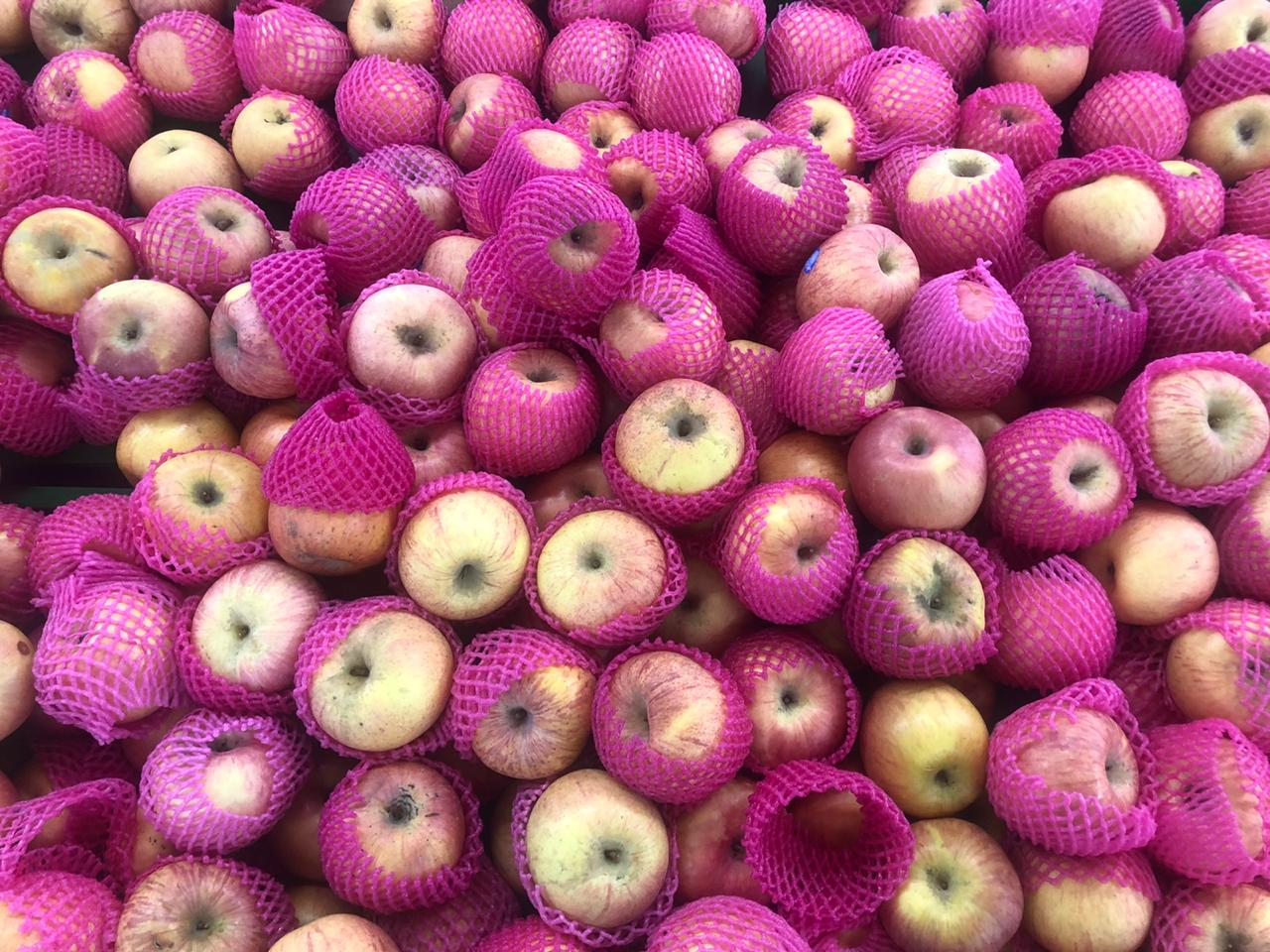 Buah apel, salah satu buah dengan kadar air tinggi yang bantu penuhi cairan saat berpuasa