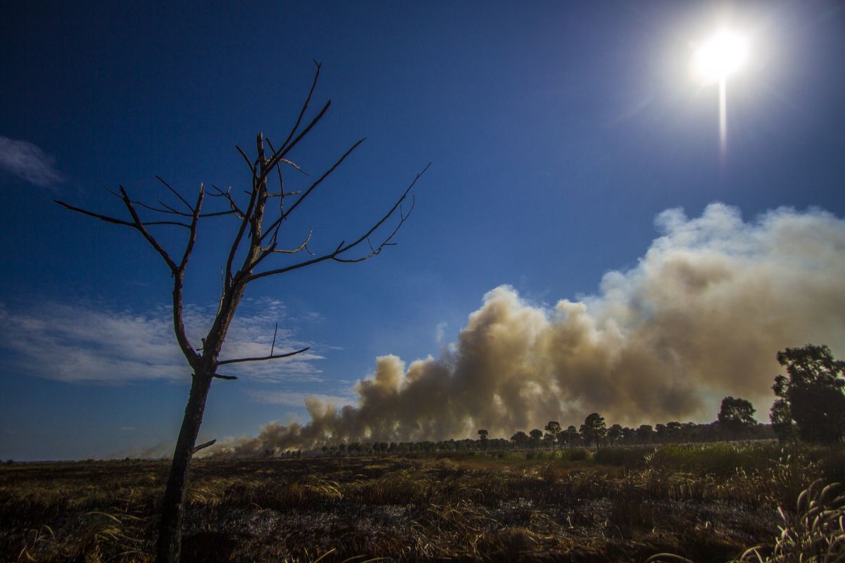 Ilustrasi: cuaca panas