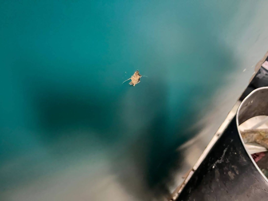 Bekas peluru nyasar terlihat di konter chekc in maskapai Citilink Bandara Sultan Hasanuddin Makassar 