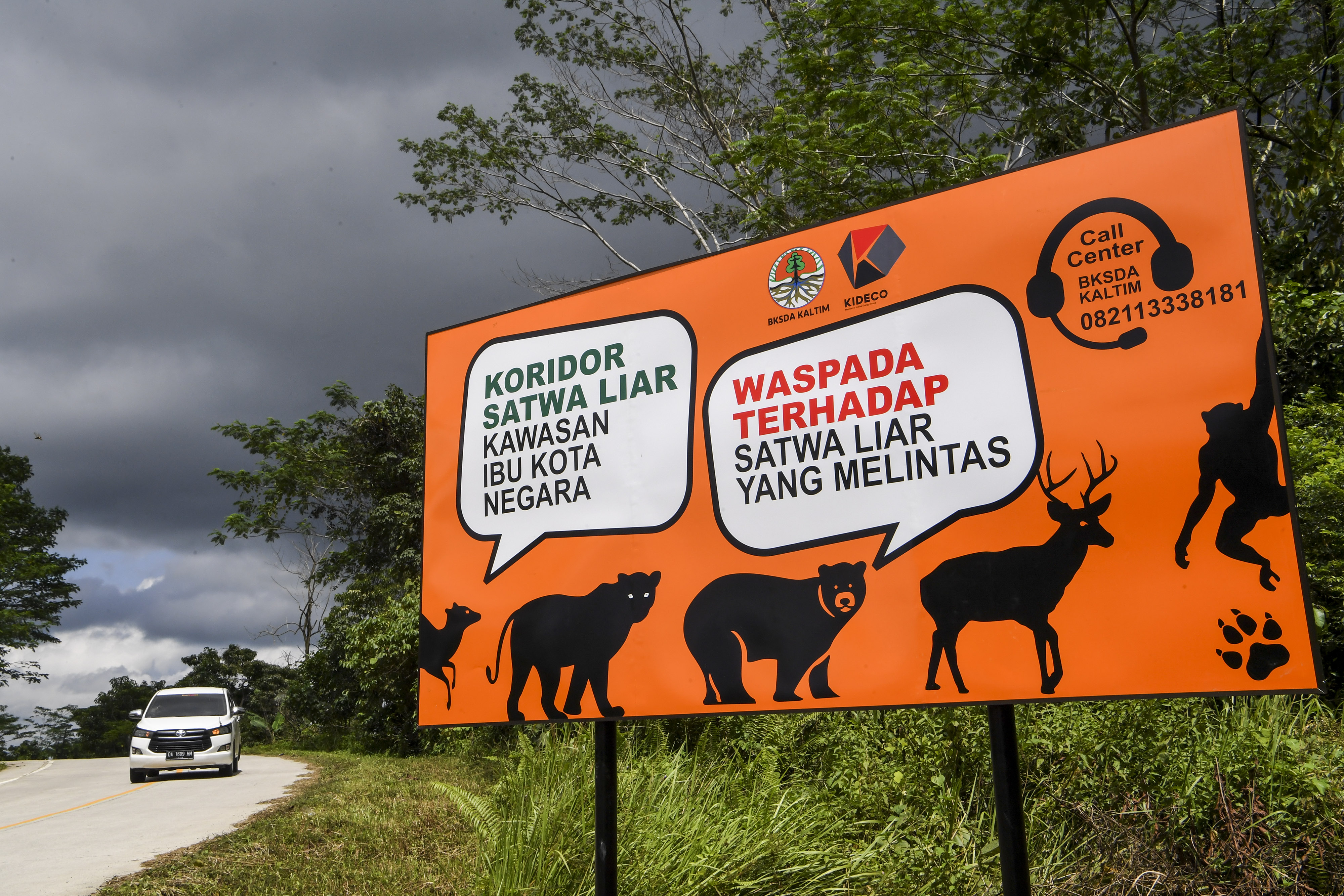 Papan peringatan jalur perlintasan satwa liar terpasang di sisi Jalan Samboja-Sepaku. 