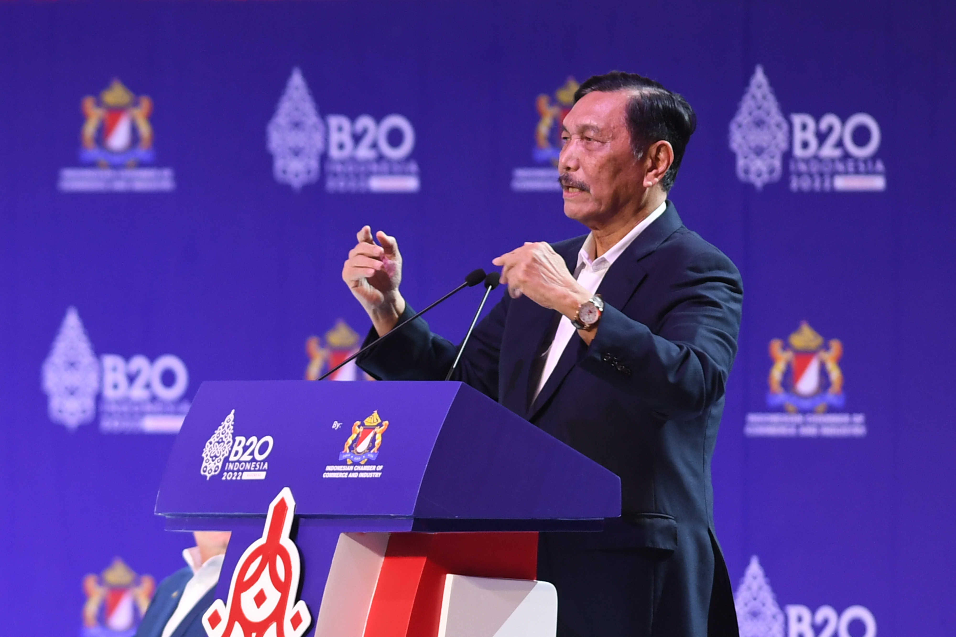 Jokowi Tunjuk Luhut jadi Ketua Pengarah Satgas Tata Kelola Sawit