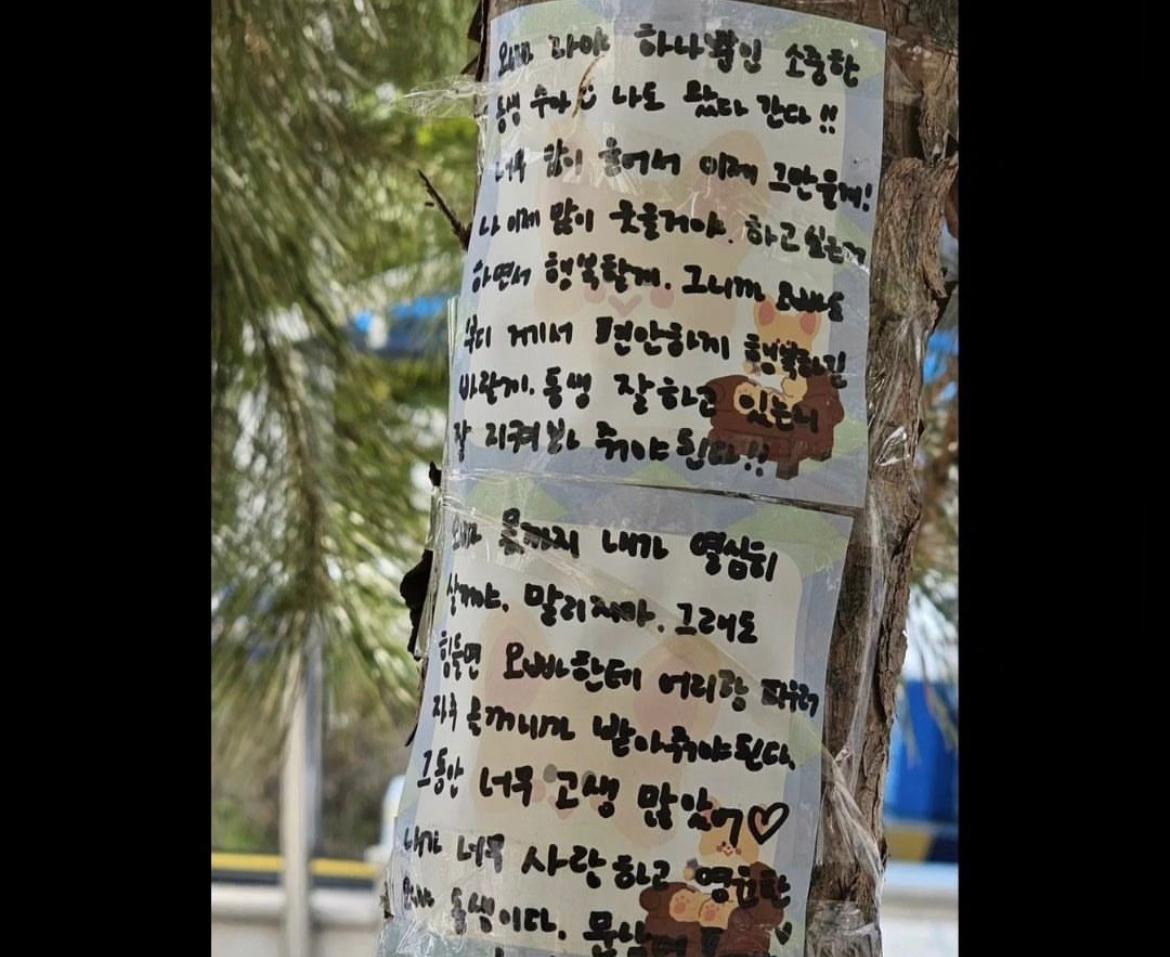 Unggahan surat terakhir Moon Sua untuk Moonbin Astro yang beredar di Internet sejak Senin (24/4/2023)