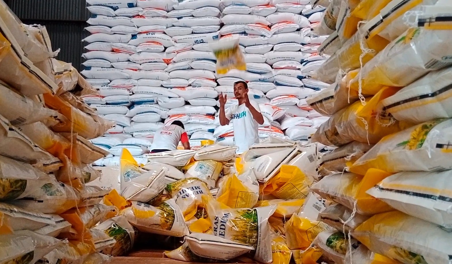 Ilustrasi beras impor