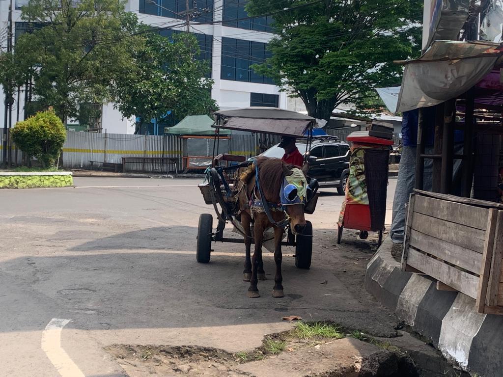 Sejumlah delman masih beroperasi di sejumlah jalan nasional, provinsi dan kabupaten di Garut, Jawa Barat. 