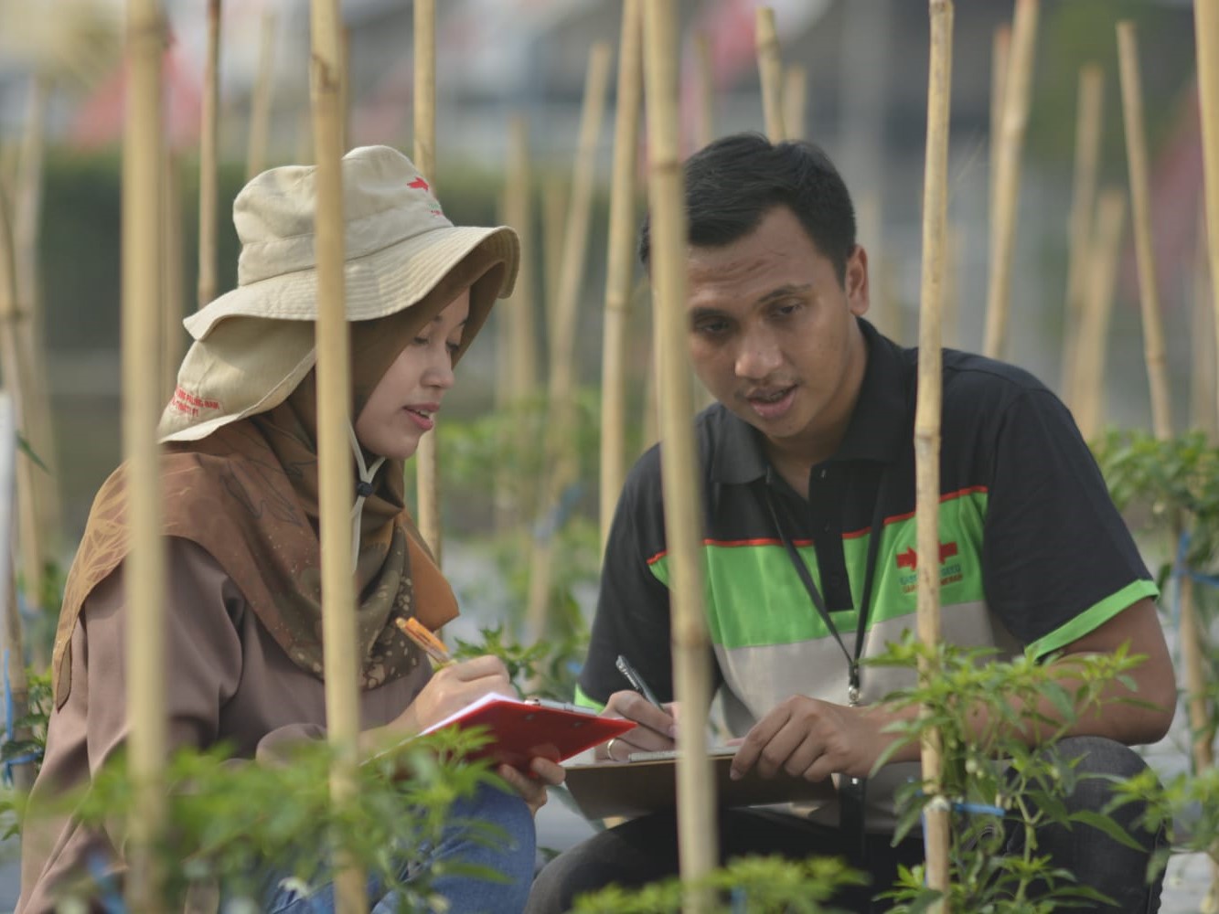 Untuk memperkuat produksi benih unggul, Ewindo mengedepankan riset dan pengembangan benih sayuran tropis lewat pusat pemuliaan di Purwakarta
