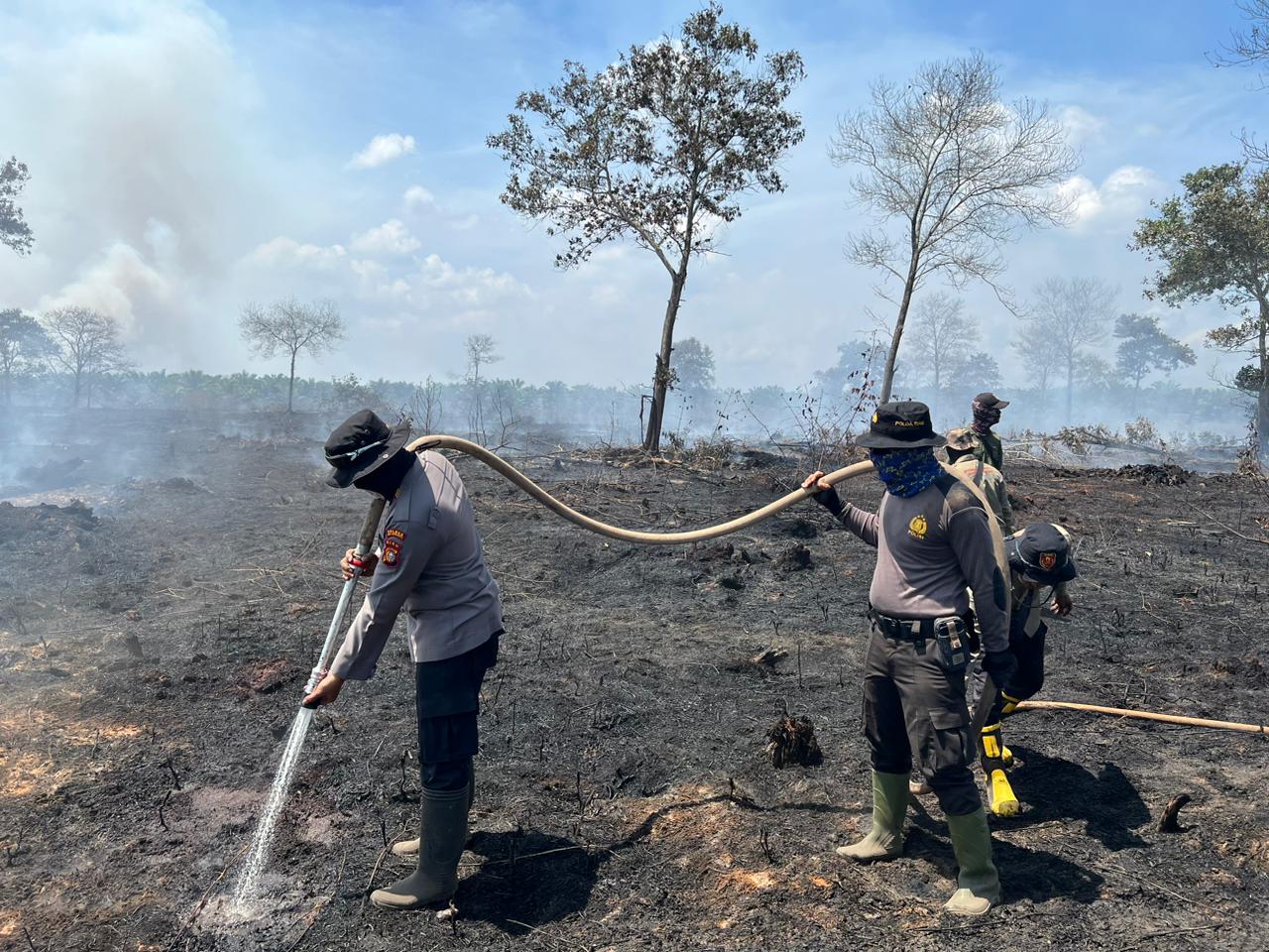 BMKG Ingatkan Potensi Kekeringan dan Karhutla di Sumsel