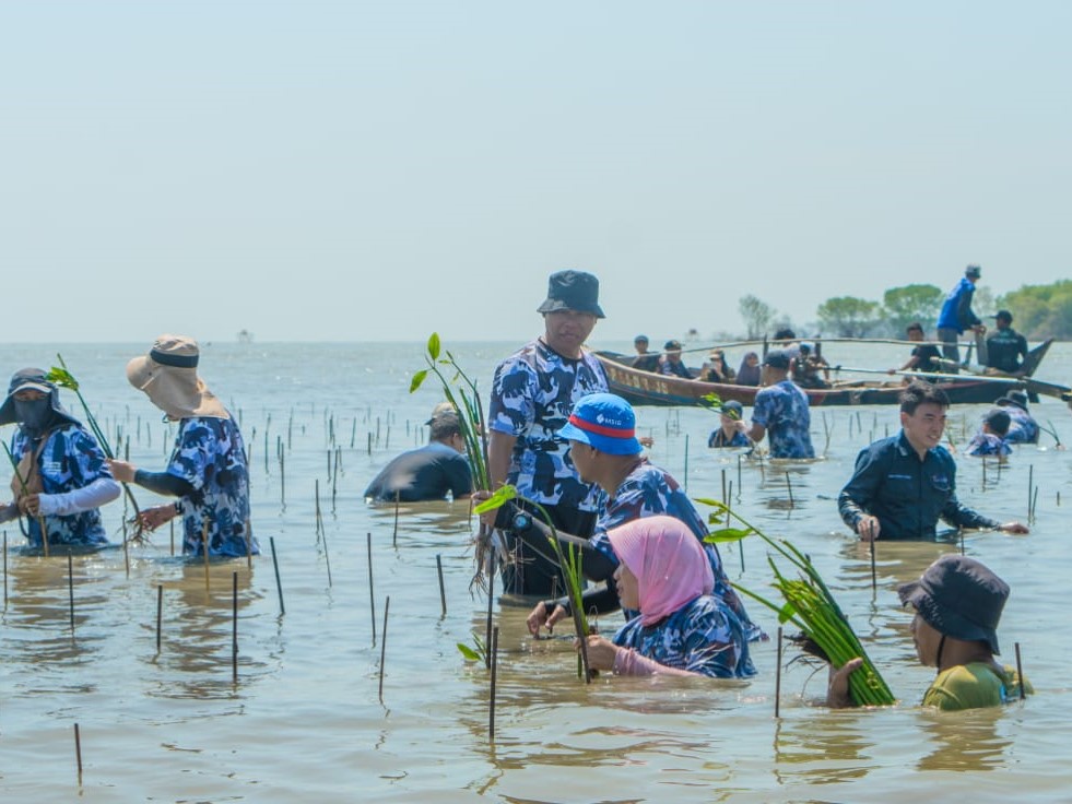 Penanaman bakau dilaksanakan di Desa Pantaibahagia, Kabupaten Muara Gembong, Bekasi, pada Sabtu 13 Mei 2023.