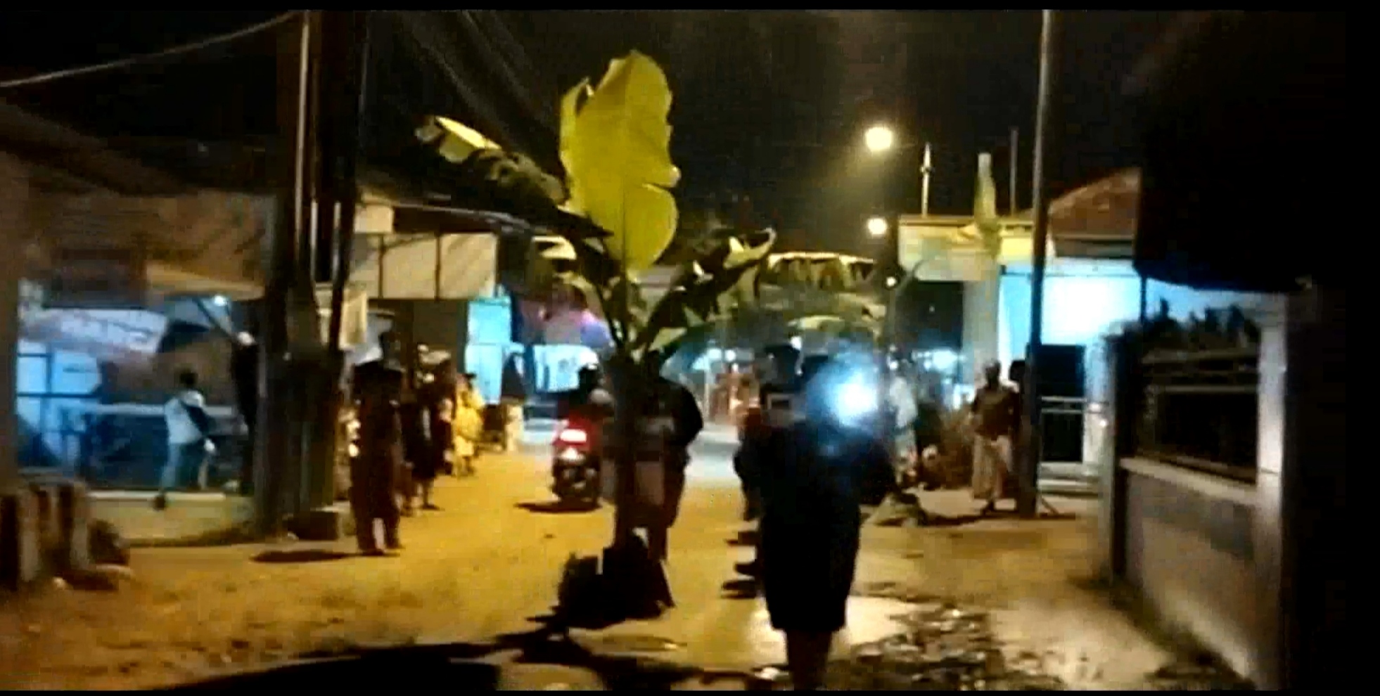 Warga Dusun Keling Desa Jumputrejo, Kecamatan Sukodono, Kabupaten Sidoarjo menanam pohon di jalan yang rusak.