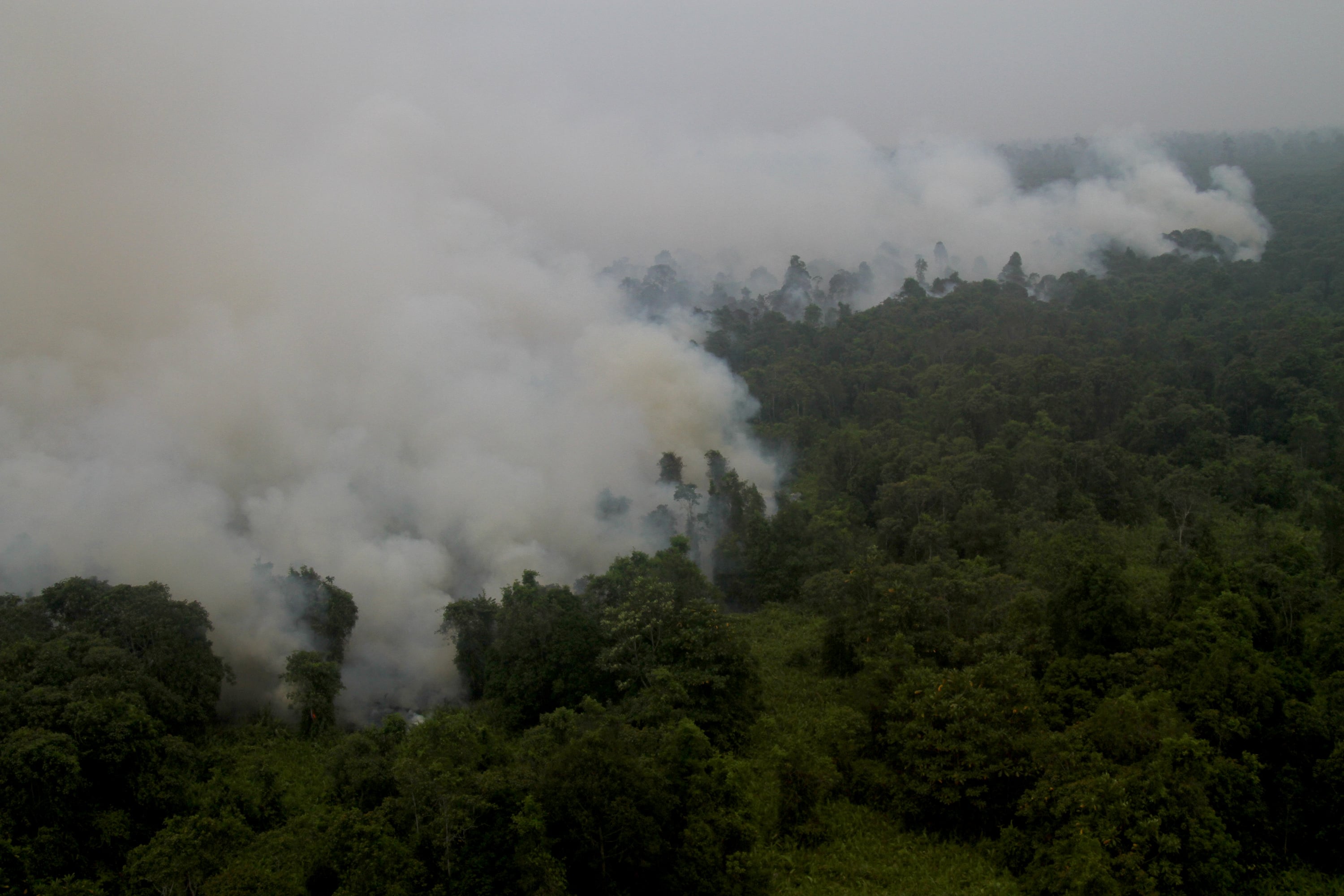 Foto udara kebakaran hutan lindung Sungai Selan Kecamatan Sungai Selan. Bangka Tengah, Kepulauan Bangka Belitung. Sabtu (24/10/2015).