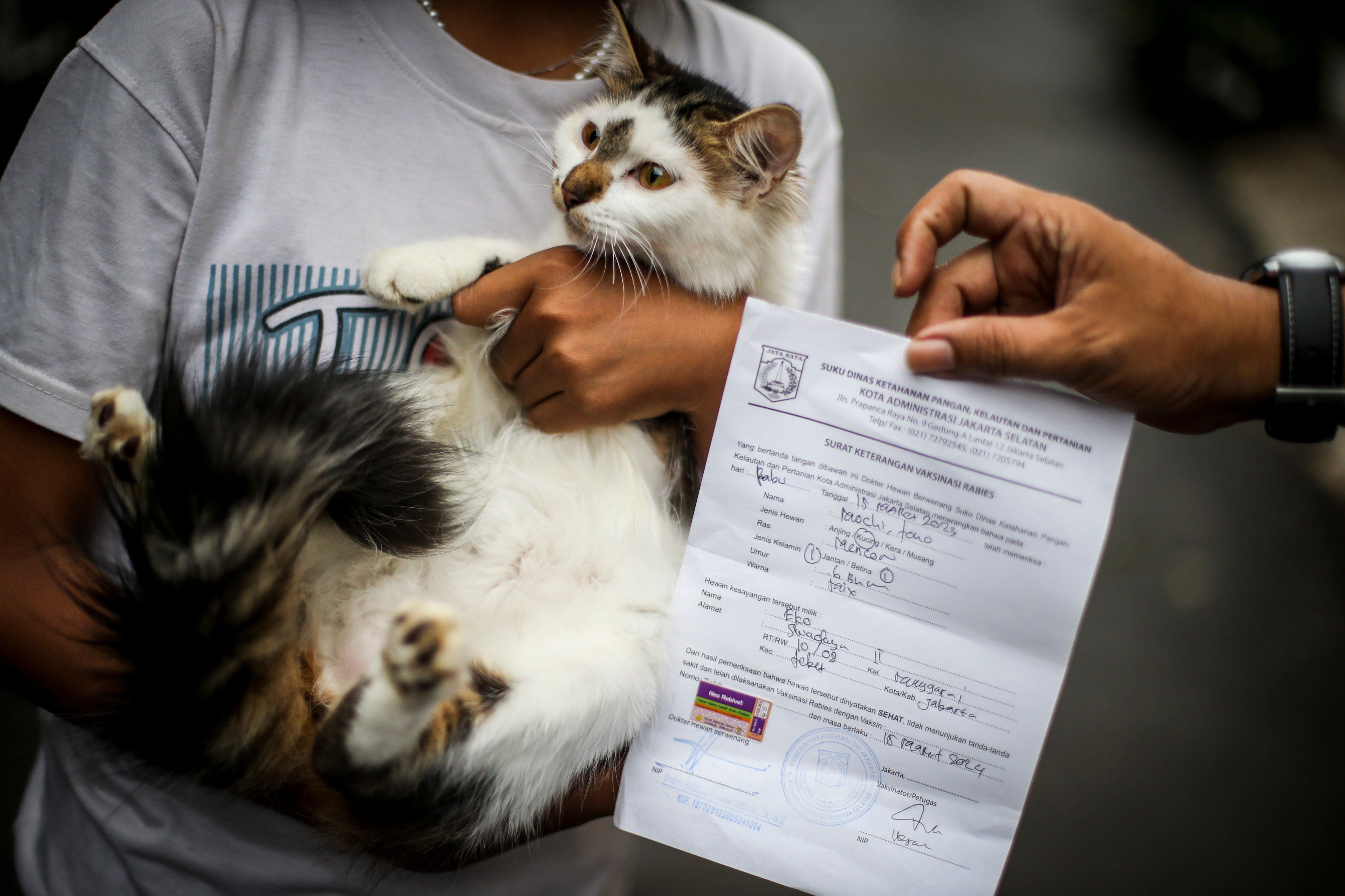 Warga membawa hewan peliharaan usai mengikuti vaksin rabies gratis oleh Pemprov DKI Jakarta.