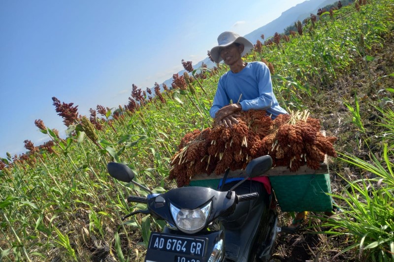 Gobel: Sebaiknya Pemerintah Subsidi Pertanian ketimbang Mobil Listrik