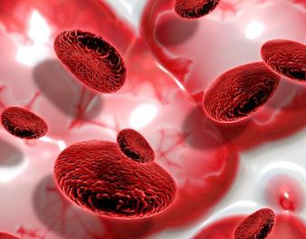 Hari Talasemia sedunia atau World Thalasemia Day diperingati tiap 8 Mei. 