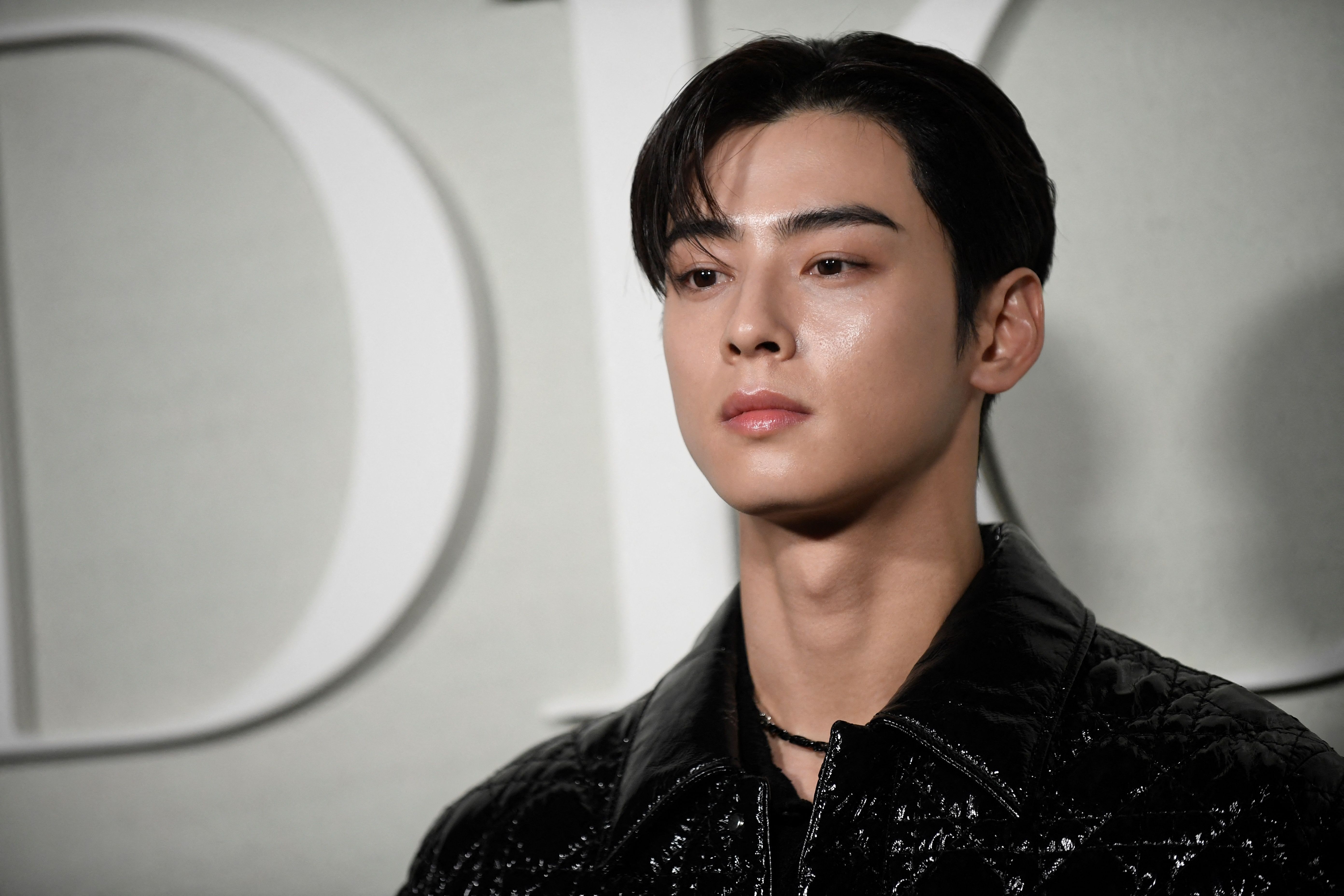 Aktor dan penyanyi idola K-Pop dari ASTRO, Cha Eun-woo