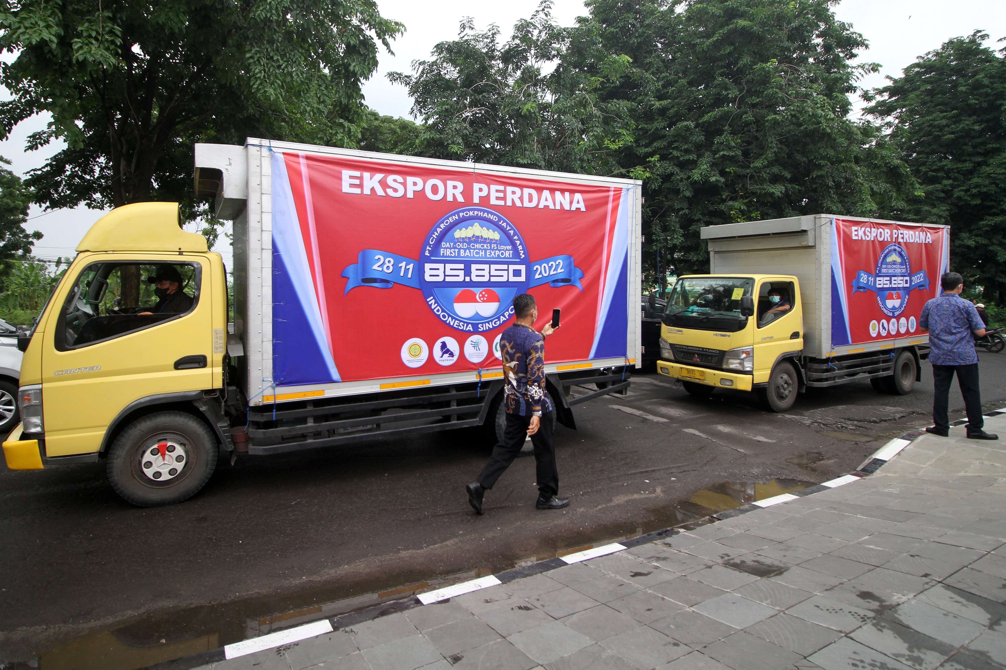 Bursa Masih Dalam Tekanan, Sektor Poultry Bisa Jadi Pilihan 