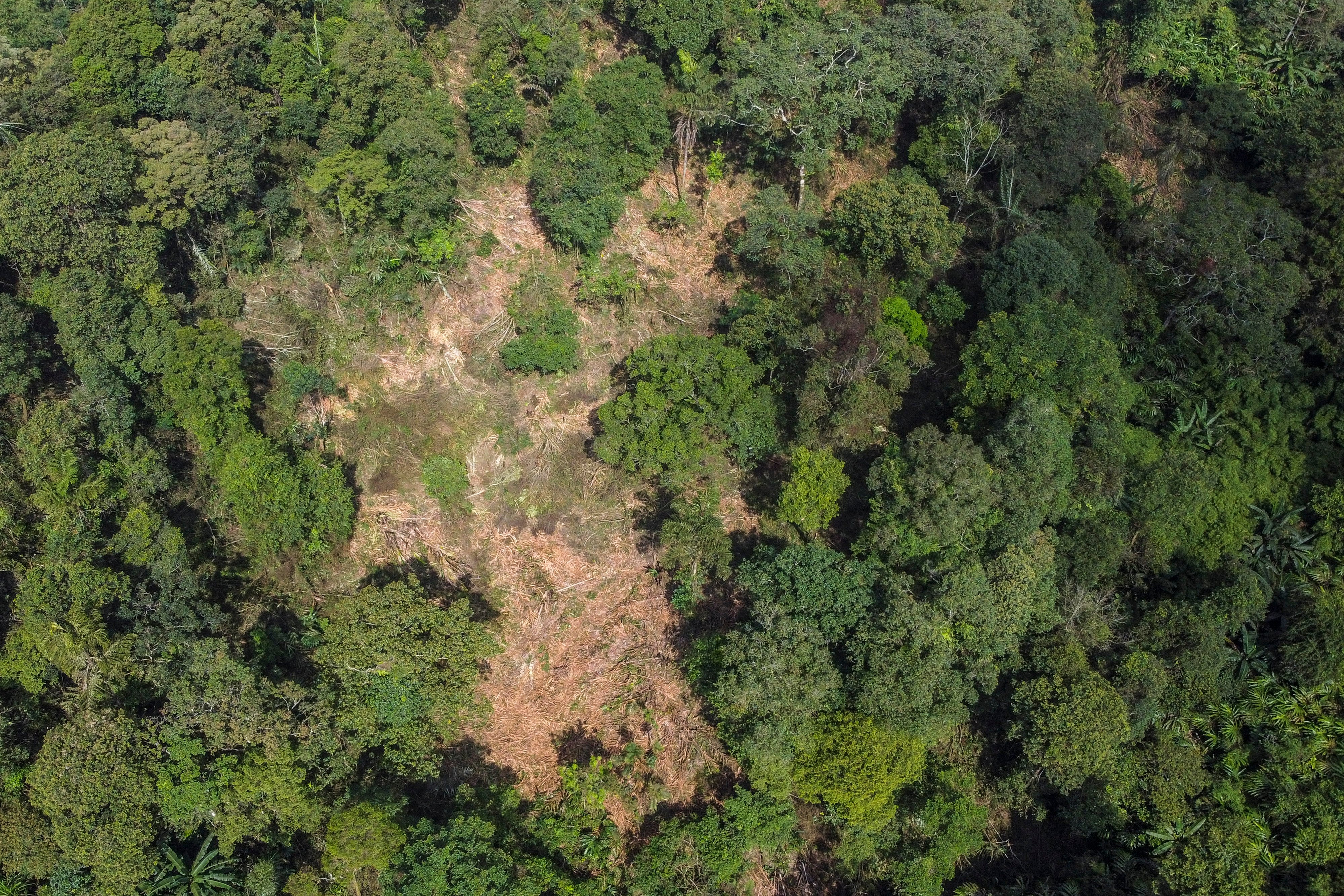 Foto udara lahan rusak akibat pembalakan liar