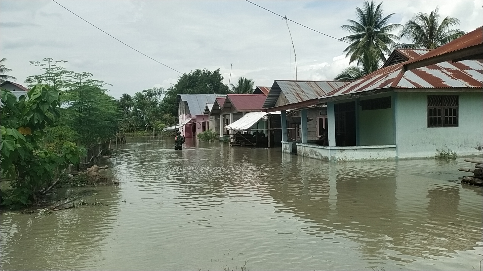 Banjir Rendam Belasan Rumah dan 10 Hektare Sawah di Desa Sambo